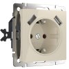 Werkel W1171503 Розетка с заземлением, шторками и USBх2 слоновая кость