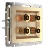 Werkel W1185010 Акустическая розетка шампань рифленый