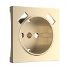 Werkel W1179511 Накладка для USB розетки шампань
