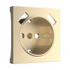 Werkel WL11-USB-CP Накладка для розетки USB (шампань)