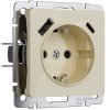 Werkel W1171743 W1171743/ Розетка с заземлением, шторками и USB тип A+C (айвори акрил)