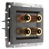 Werkel W1185004 Акустическая розетка графит рифленый
