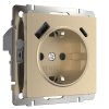 Werkel W1171710 Розетка с заземлением, шторками и USB тип A+C шампань рифленый