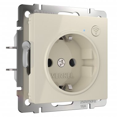 Фотография товара 'Werkel W1171603 Умная встраиваемая розетка с заземлением с защитными шторками'