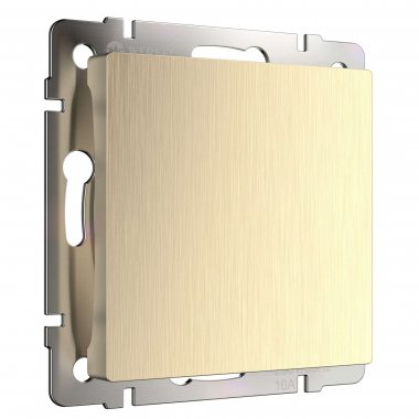 Фотография товара 'Werkel W1159210 Заглушка шампань рифленый'