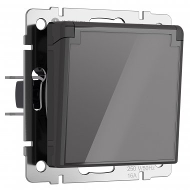 Фотография товара 'Werkel W1171244 Розетка влагозащ. с зазем. с защит. крышкой и шторками графит акрил'