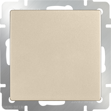 Фотография товара 'Werkel WL11-70-11 Заглушка (шампань)'