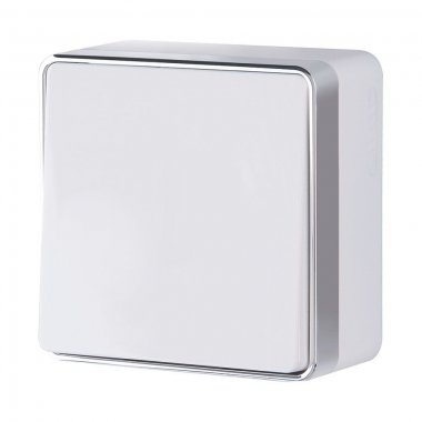 Фотография товара 'Werkel W5010001 Выключатель одноклавишный Gallant белый'