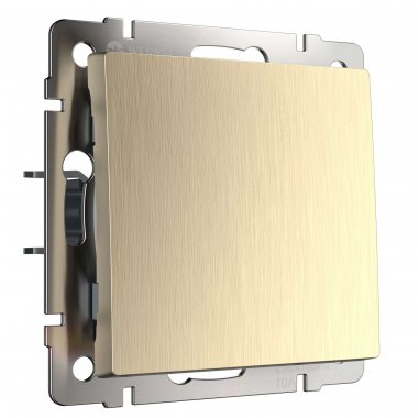 Фотография товара 'Werkel W1112010 Выключатель одноклавишный проходной шампань рифленый'