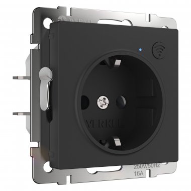 Фотография товара 'Werkel W1171608 Умная встраиваемая розетка с заземлением с защитными шторками'