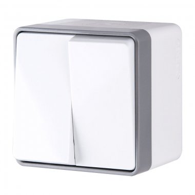 Фотография товара 'Werkel W5020201 Выключатель двухклавишный влагозащищенный Gallant (белый) (a051576) Werkel Накладные механизмы Gallant белые W5020201-95657'