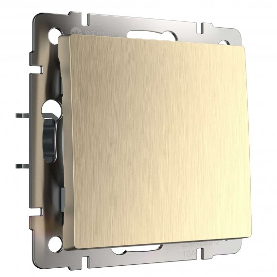 Фотография товара 'Werkel W1110010 Выключатель одноклавишный шампань рифленый'