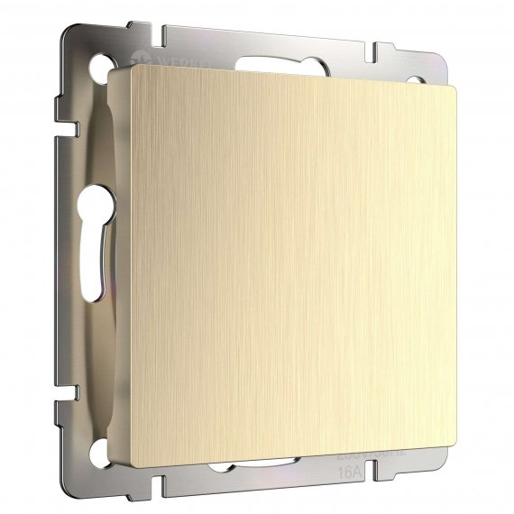 Фотография товара 'Werkel W1159210 Заглушка шампань рифленый'