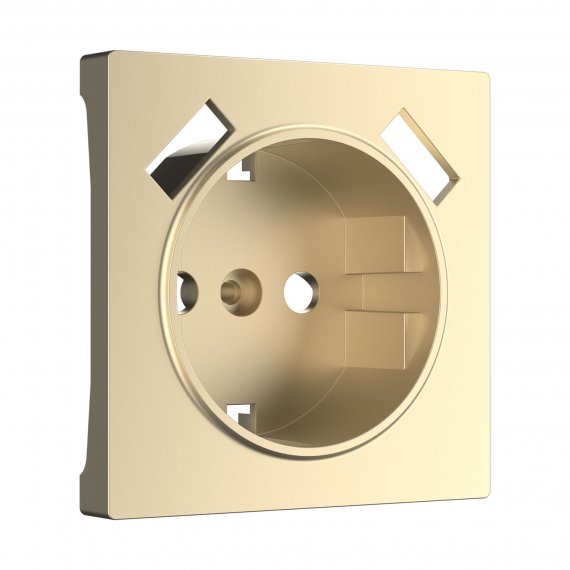Фотография товара 'Werkel W1179511 Накладка для USB розетки шампань'