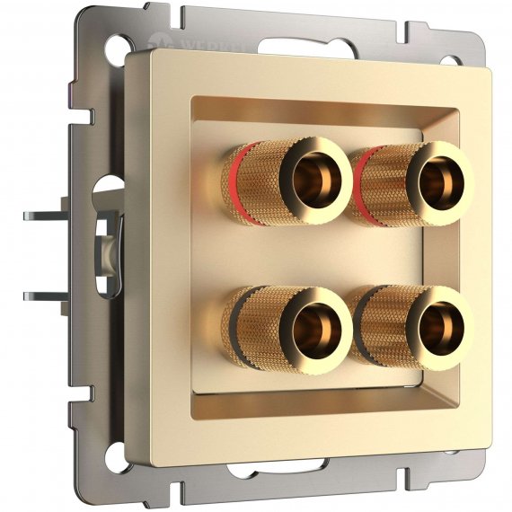 Фотография товара 'Werkel W1185011 Акустическая розетка шампань'